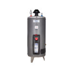 Rays Gas Storage Geyser 15G Standard