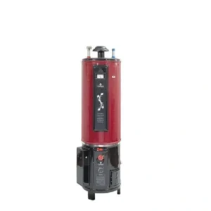 Nasgas 15 Gallon Electric and Gas Storage Geyser DEG-15 Super Deluxe